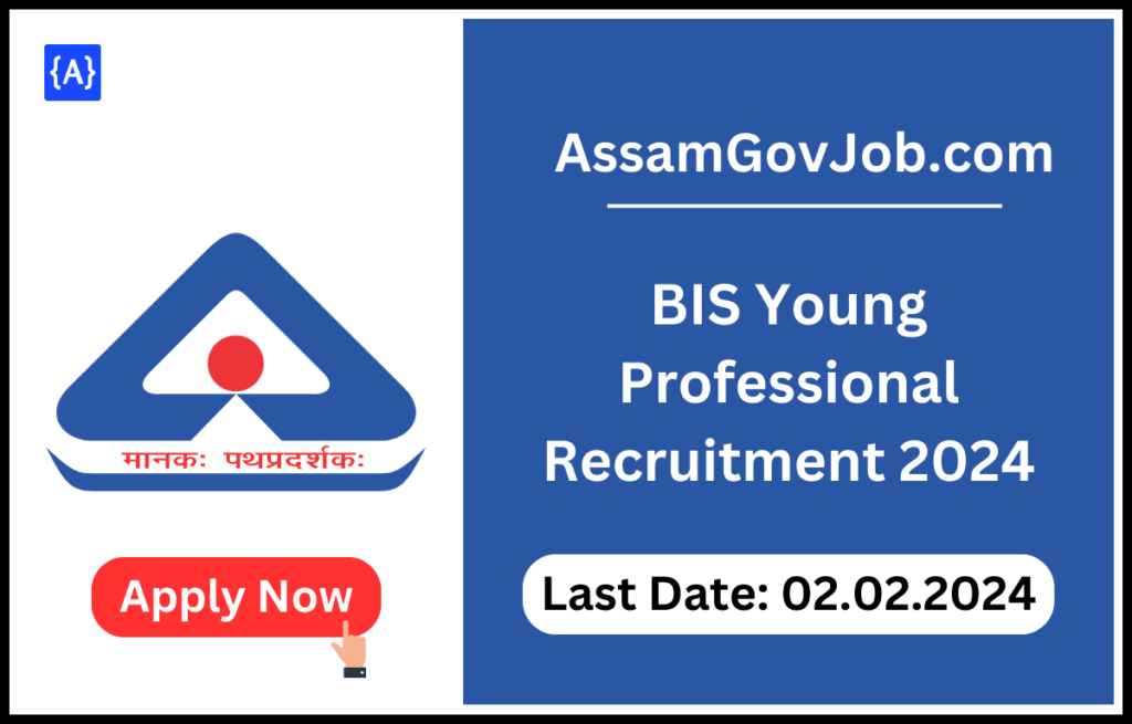 BIS Young Professional Recruitment 2024