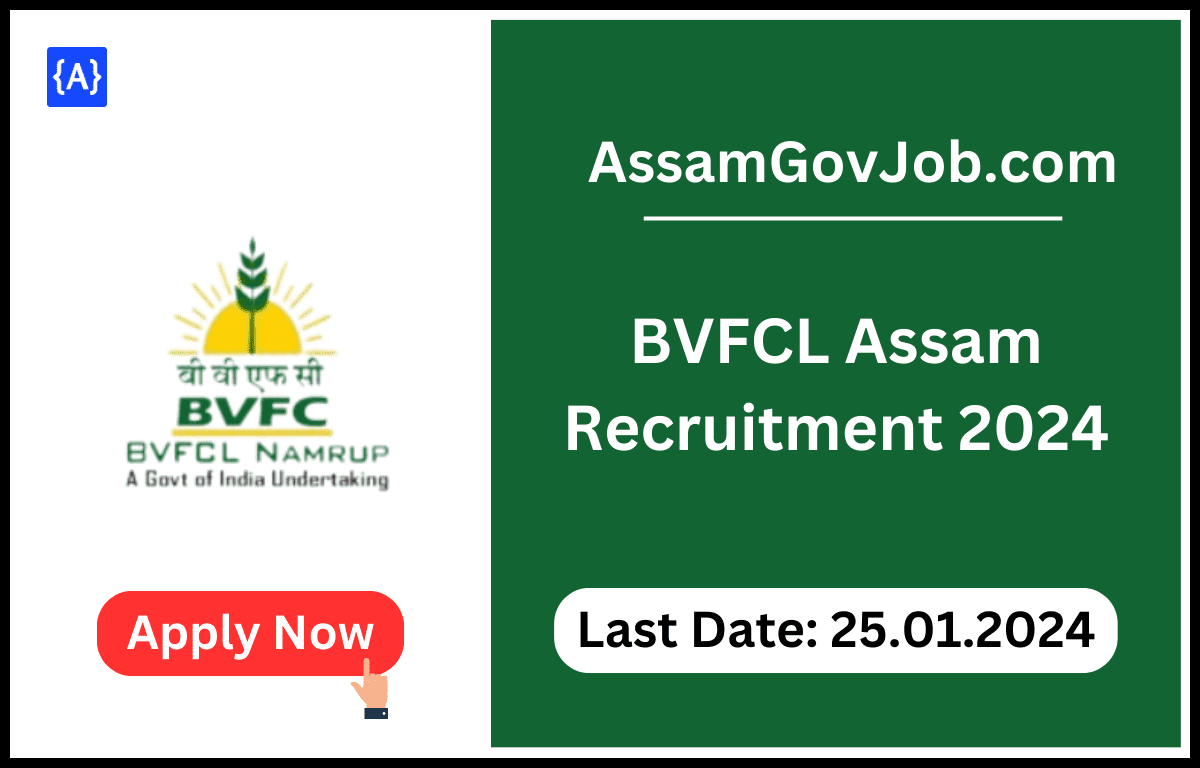 BVFCL Assam Recruitment 2024